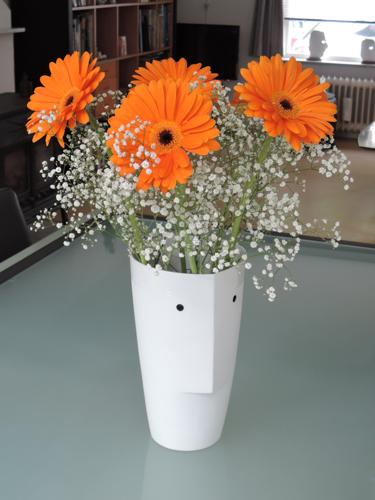 met Gerbera