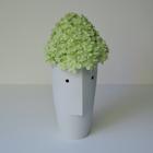 met hortensia